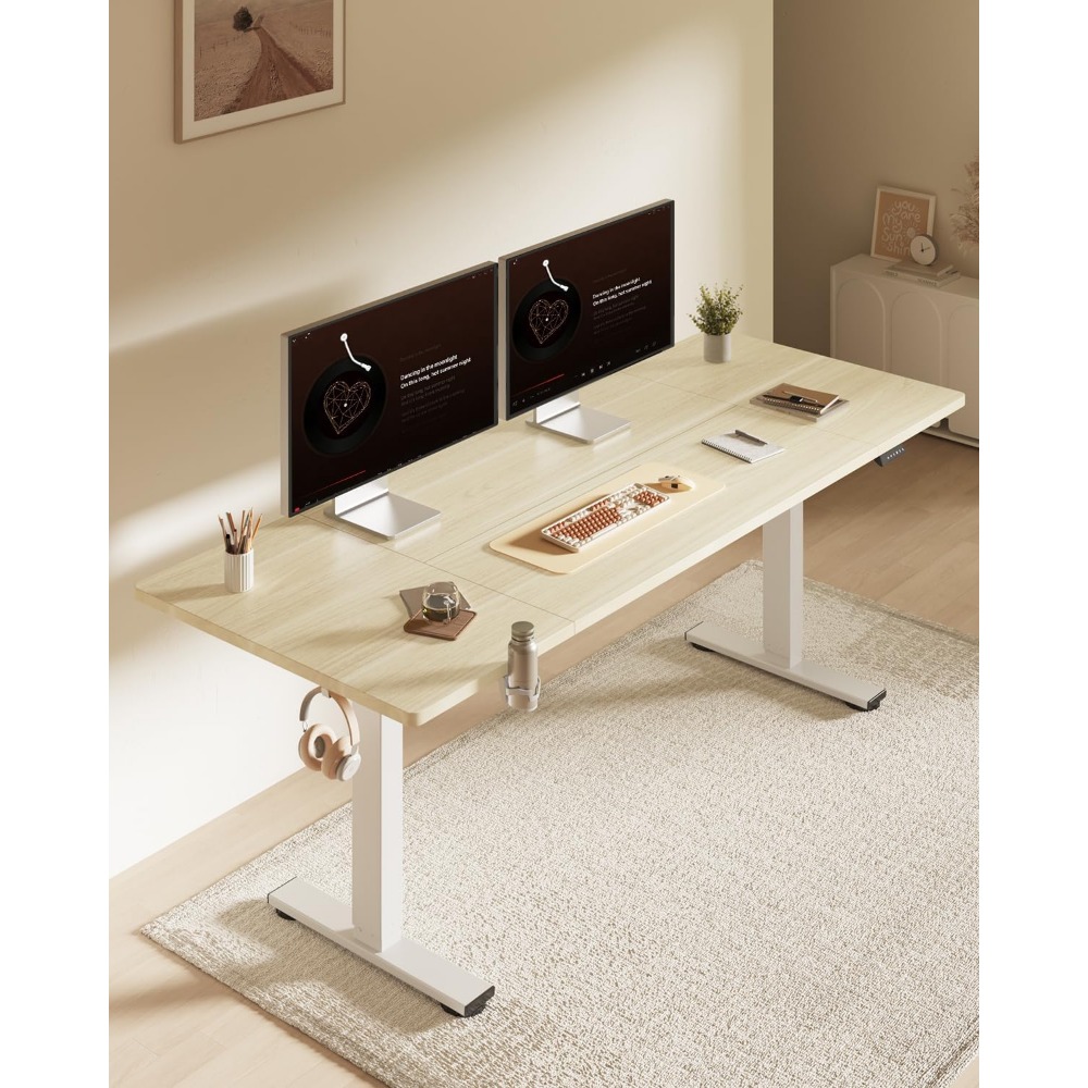 FLEXISPOT Bureau debout électr - Desk Setup Office avis et prix
