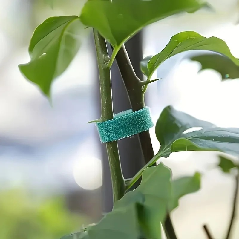 Sangle de fixation Velcro pour - Cable Velcro Strap avis et prix